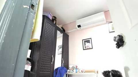 xdreamangel free recording from 2026-01-26 00:14:00