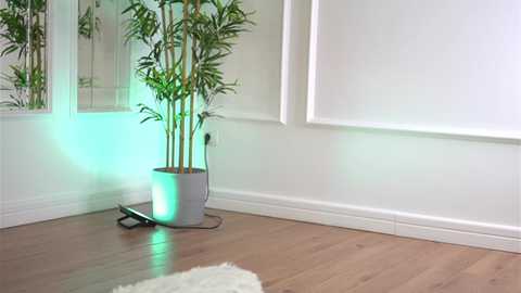 alexxiskye free recording from 2026-01-27 00:05:00