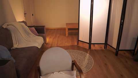 Video of a cozy, minimalist bedroom with light wooden floors, a beige armchair, a brown sofa, a wooden bench, a white blanket, and a round rug. The room features a white room divider with black frames.