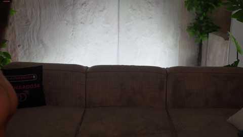 kira0541 free recording from 2026-01-27 01:17:00