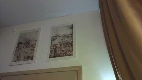 Video of a corner of a room featuring two framed flower videos on a white wall, with a wooden door partially visible in the foreground. The lighting is soft, creating a serene ambiance.