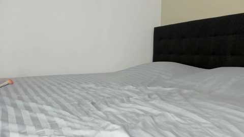 mazekyn free recording from 2026-01-27 00:01:00