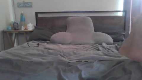 Video of a messy bedroom with a grey comforter, a wooden headboard, and a stuffed elephant head pillow. The room has a wooden nightstand with a lamp, bottles, and a framed picture.