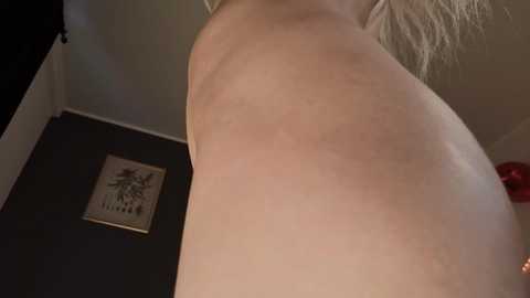 Video of a nude, fair-skinned woman with blonde hair, captured from a low angle, highlighting her back and side. Background features a black wall with a framed minimalist art piece.