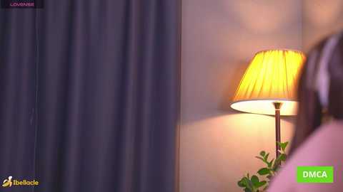 bellacle free recording from 2026-01-28 02:54:00