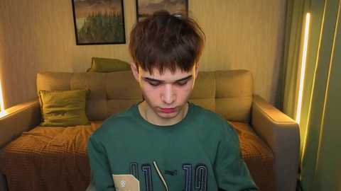 A video of a young boy with short, tousled brown hair, wearing a green sweatshirt, sitting on a beige couch in a dimly lit room.