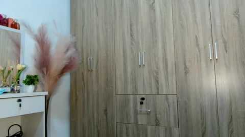 Video of a minimalist, light-wooden wardrobe with silver handles and a glass door, positioned against a light blue wall. A white table with potted plants and a vase of dried flowers is on the left.