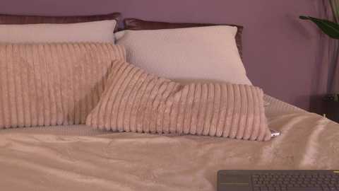 Video of a neatly made bed with a beige comforter, two textured beige pillows, and a small, silver remote control on the bed. The background features a lavender wall and a green plant in the corner.
