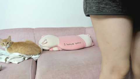 A video showing a light-skinned person wearing a black skirt standing on a pink sofa with a ginger cat sleeping beside a pink pillow with \"I love you\" embroidered.