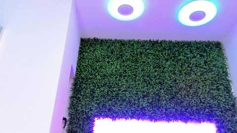 A video of a modern interior featuring a vibrant green artificial grass wall with two circular, glowing blue ceiling lights. The background is a light purple wall.