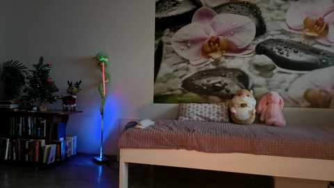 jennycutey free recording from 2026-01-28 00:02:00