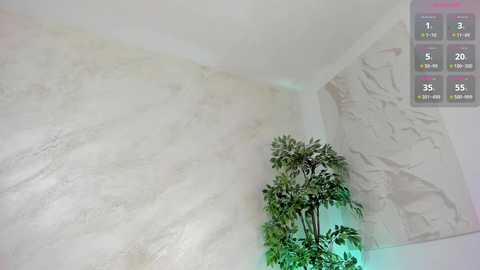 Video of a corner room with a light gray marble wall, a green potted plant, and a digital screen displaying a timer and exercise stats.