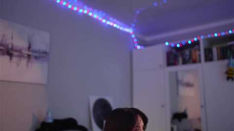 _blackbee_ free recording from 2026-01-29 02:12:00