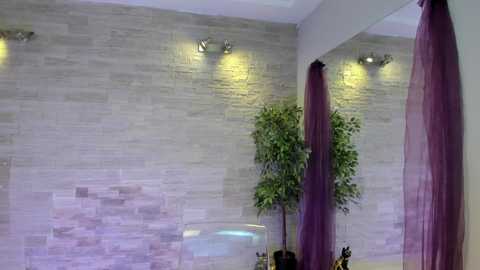 Video of a modern spa interior with a textured gray stone wall, purple curtains, recessed lighting, and a potted green plant.