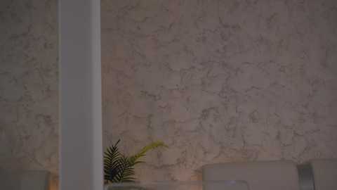 diamond_ava_ free recording from 2026-01-30 00:34:00