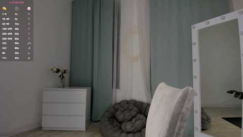 A video of a minimalist bedroom with a white dresser, teal curtains, a round gray beanbag, and a white-framed mirror reflecting a black cat.