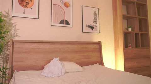 A video of a minimalist bedroom with a wooden bed, white linens, framed abstract art on the wall, a wooden shelf, and a potted plant.