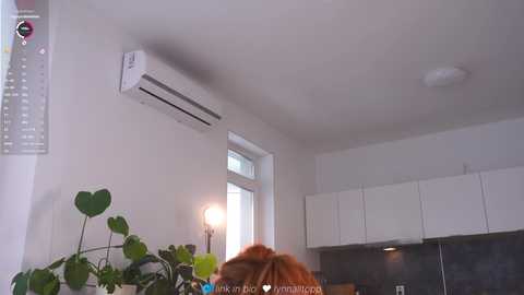 Video of a modern, minimalist kitchen with white walls, a large window, an air conditioner, and a green leafy plant. A person with brown hair is partially visible in the foreground.
