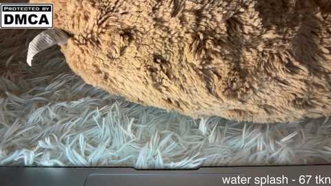 Video of a large, light brown, hairy creature, possibly a bear, lying on a water bed. The creature's textured fur contrasts with the smooth, rippling water surface. The background shows the edge of a metallic frame.