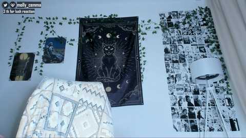 A video of a bedroom wall with a black tapestry featuring a cat, a framed nature landscape, and a white lamp, adorned with green vines and black-and-white photos.