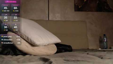 Video of a dimly lit bedroom with a beige headboard, a beige pillow, and a dark shirt on a bed. A water bottle sits on the floor.