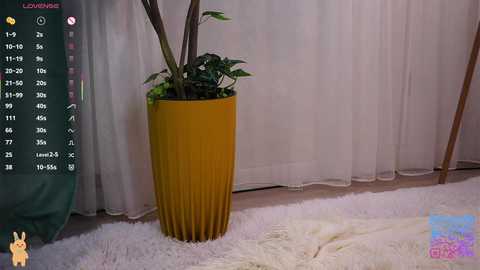 cinacandy free recording from 2026-01-30 00:06:00