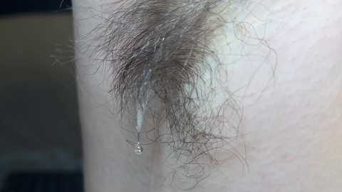 Close-up video of a Caucasian male's pubic region, showing a dark, bushy pubic hair with a small, clear fluid drop attached to the hair. The skin is pale, and the background is blurred, likely indoors.