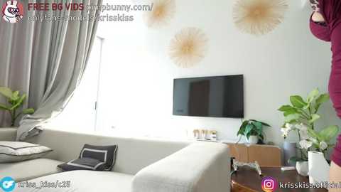 A video of a modern living room featuring a light gray sectional sofa, a flat-screen TV mounted on a white wall adorned with gold sunburst decor, and a wooden side table with potted plants.