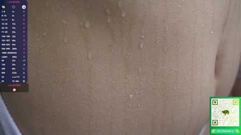 stephaniesally free recording from 2026-01-30 00:06:00