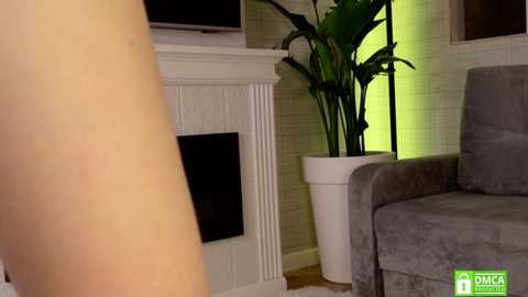 wellicaren free recording from 2026-01-30 01:55:00