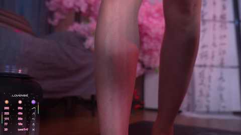 marry_cordy free recording from 2026-01-31 00:11:00