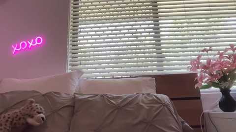 novamills free recording from 2026-01-31 00:11:00