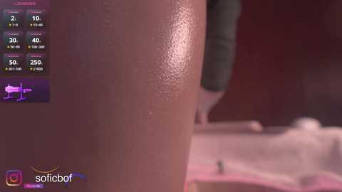 soficb free recording from 2026-01-31 00:11:00