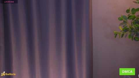 Media: Video of a dimly lit room with a vertical curtain in shades of purple and blue, partially covering a beige wall. A green plant with broad leaves is on the right.