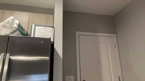 Video of a minimalist kitchen with stainless steel appliances, including a large fridge and oven, against light gray walls and a white door.