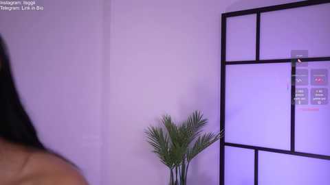 gigi_ulala free recording from 2026-02-01 00:14:00