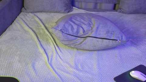 A video of a light blue pillow with a zipper on a gray couch with a textured pattern, bathed in soft purple light, with a black mouse visible on the right.