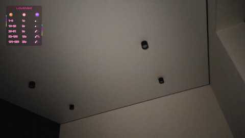 hoaarisa free recording from 2026-02-01 00:14:00