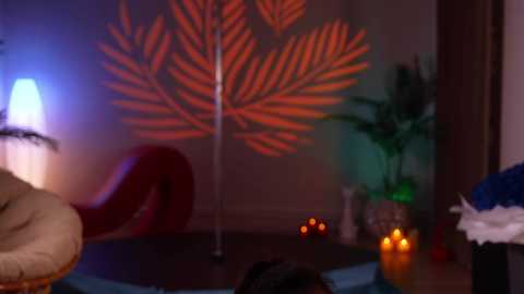 Video of a dimly lit room with a red sofa, a large orange leaf wall projection, potted plants, and several lit candles on a wooden floor.