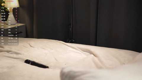 Video of a dimly lit bedroom with a black headboard, beige bedding, a black remote control on the bed, and a nightstand with a lamp and a vase of flowers.