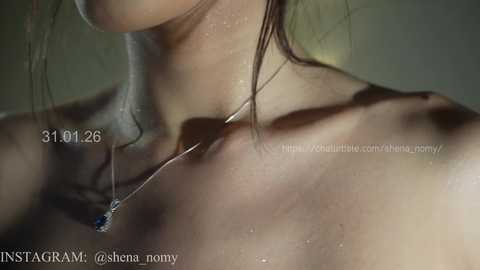 shena_nomy free recording from 2026-02-01 00:14:00