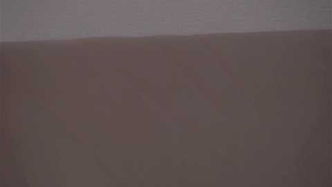 Video of a vast, monochromatic landscape with a flat horizon, featuring muted brown and gray tones, creating a sense of vast emptiness and minimalism.