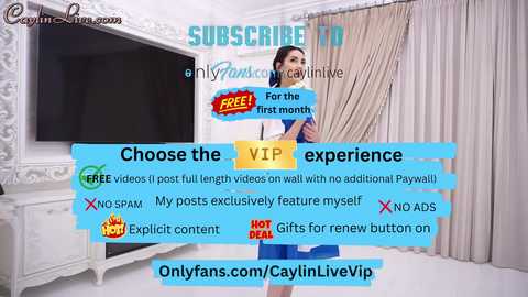 A promotional image for a subscription service featuring a woman with dark hair, wearing a blue dress, standing in a luxurious, white room with beige curtains.