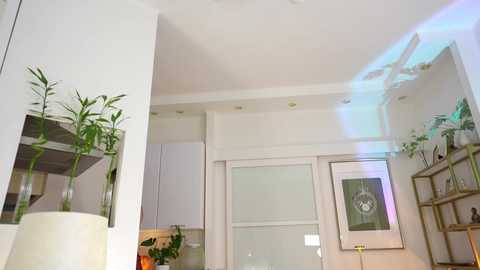 Video of a modern, minimalist kitchen with white cabinets, a large window, bamboo plants, and a ceiling fan.