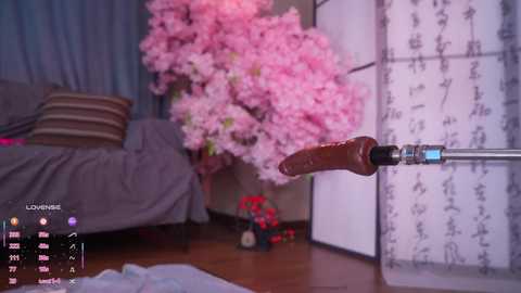 marry_cordy free recording from 2026-02-02 00:35:00