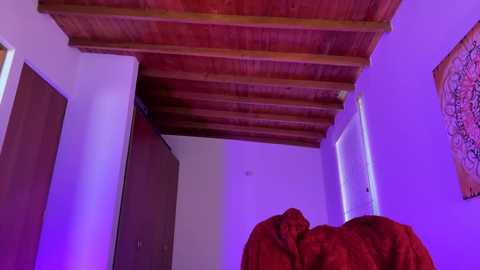 A video of a bedroom with a wooden ceiling, purple lighting, and a person wearing a red bathrobe, partially visible from behind.