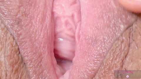 A close-up video of a human vulva, showing the labia minora and clitoral hood, with visible natural skin texture and folds. The background is blurred, focusing solely on the genital area.