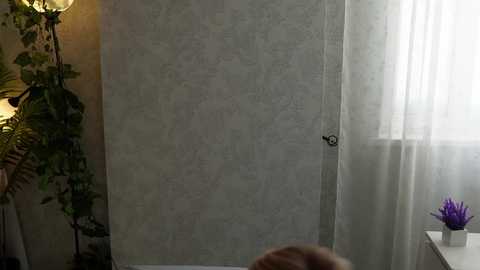 seeunexttime free recording from 2026-02-02 00:35:00