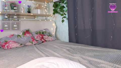 willacrago free recording from 2026-02-02 00:35:00