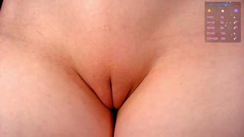 Video of a close-up view of a woman's shaved vulva, displaying pale skin and natural texture. A digital interface with various options is visible in the upper right corner.